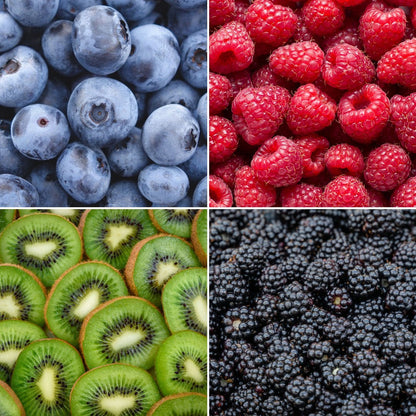 Biologische fruitplantenmix 'Summer Fruits' - set van 4, Ø13 cm