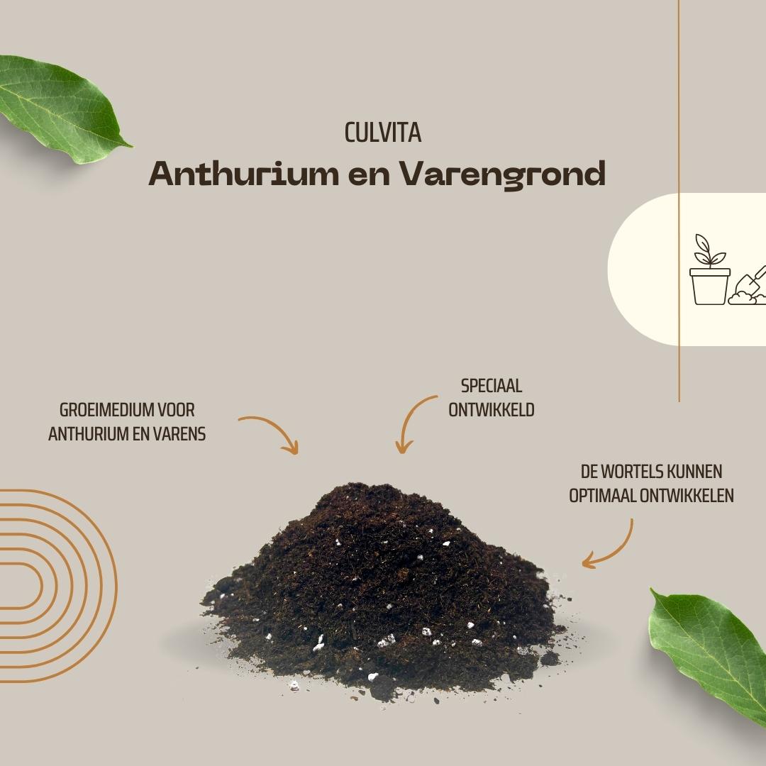 Culvita - Anthurium & Fern Soil - 5 L